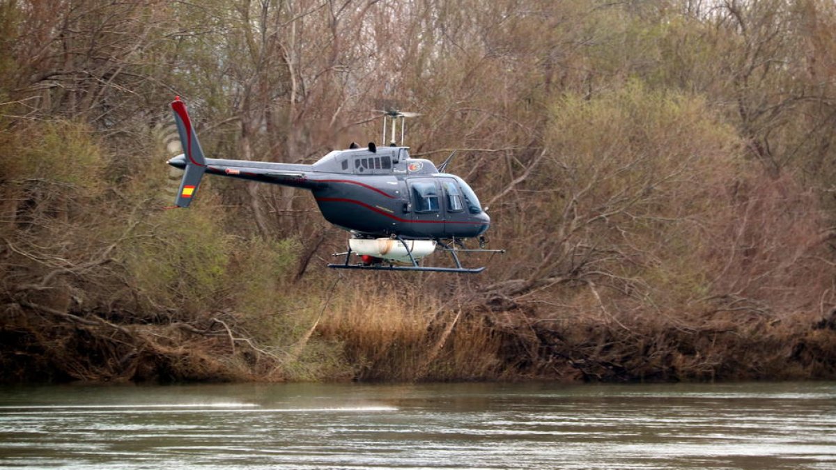 L'helicòpter que ha fet els primers tractaments contra la mosca negra a l'embarcador de l'assut de Xerta.