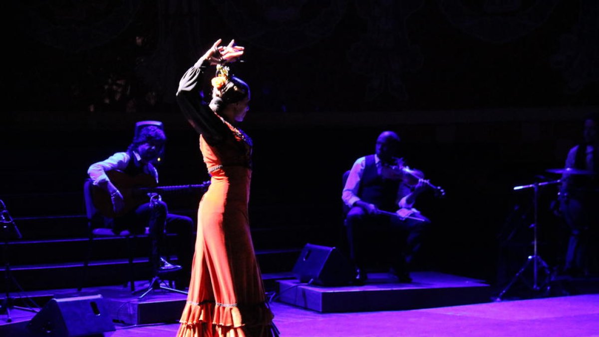 Plano general de una bailaora en la Gran Gala Flamenco.