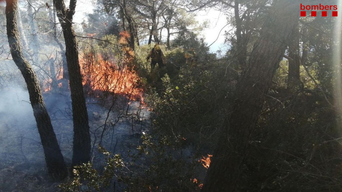 Algunos de los efectivos de los Bomberos trabajando en la extinción del fuego en la Conca de Barberà.