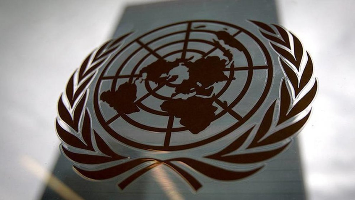 La entidad ha presentado un informe a los relatores de la ONU.