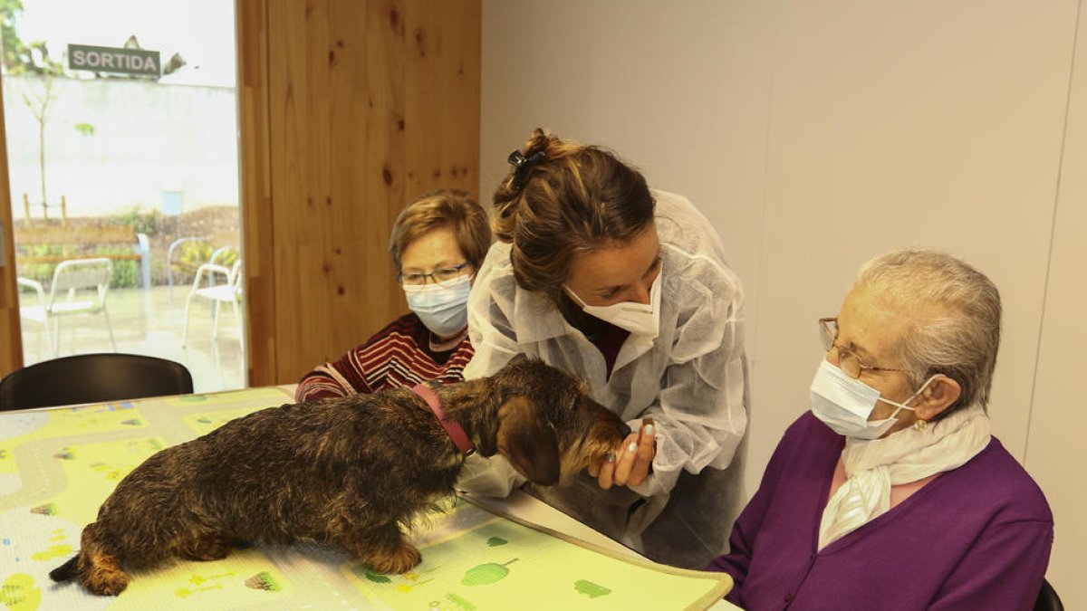 La terapeuta Mercè González con la perra Rita y dos de las personas que se tratan en el centro.