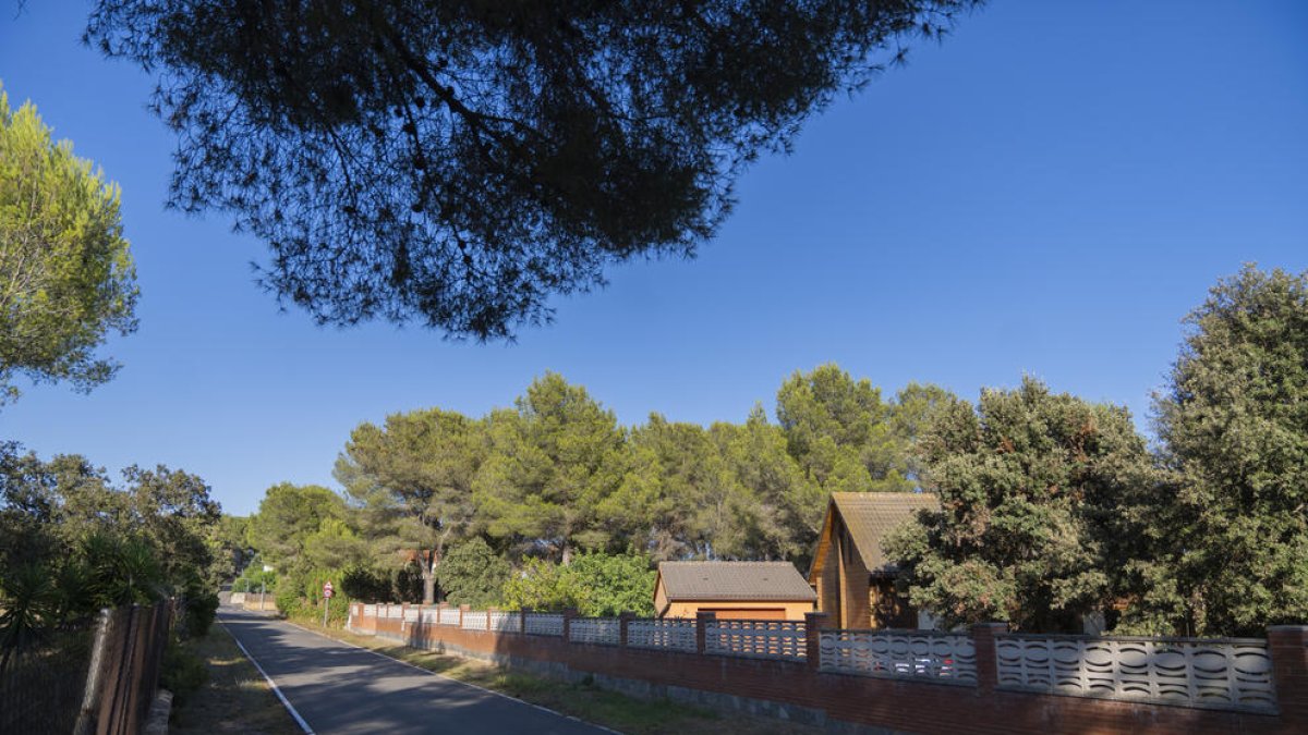 Zona boscosa a tocar de las casas de la urbanización Mas Morató, en Tarragona.