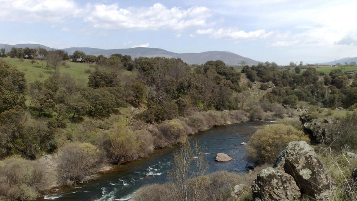 Imatge d'arxiu del riu Lozoya (Madrid).