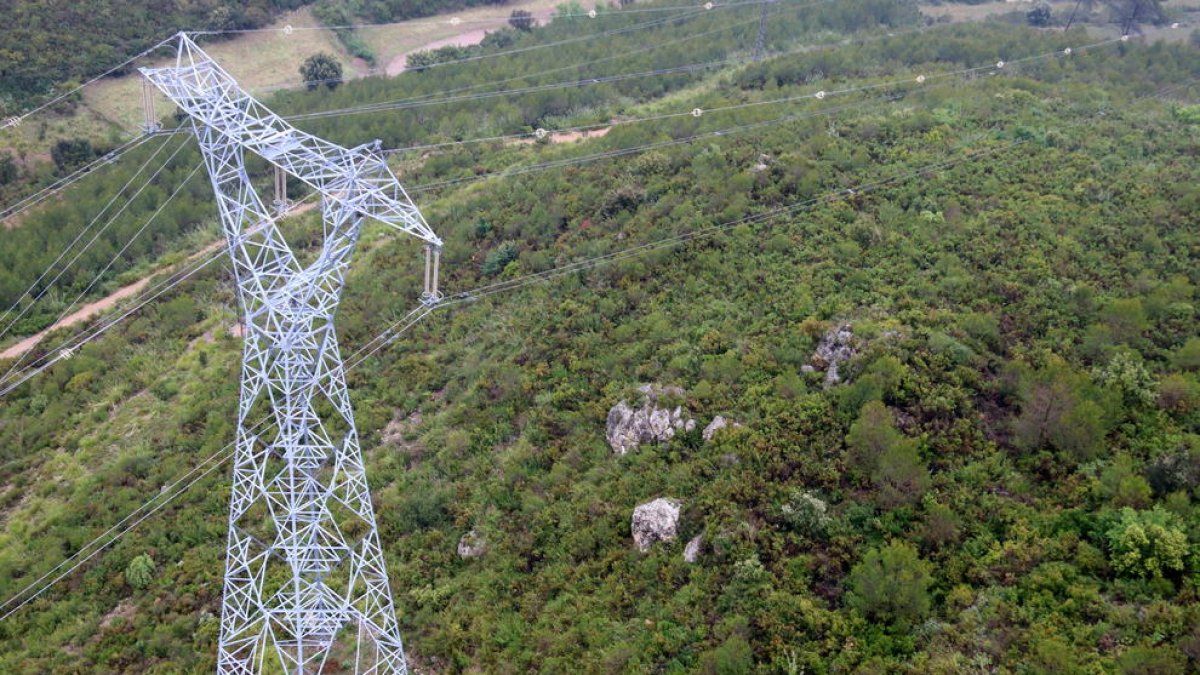 Una torre de una línea d'alta tensión de Endesa a l'Alt Penedès.