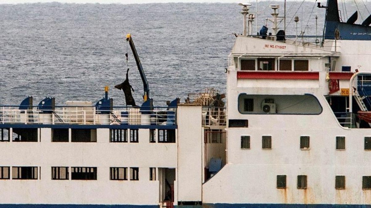 Imagen de uno de los barcos donde se transportan los animales.