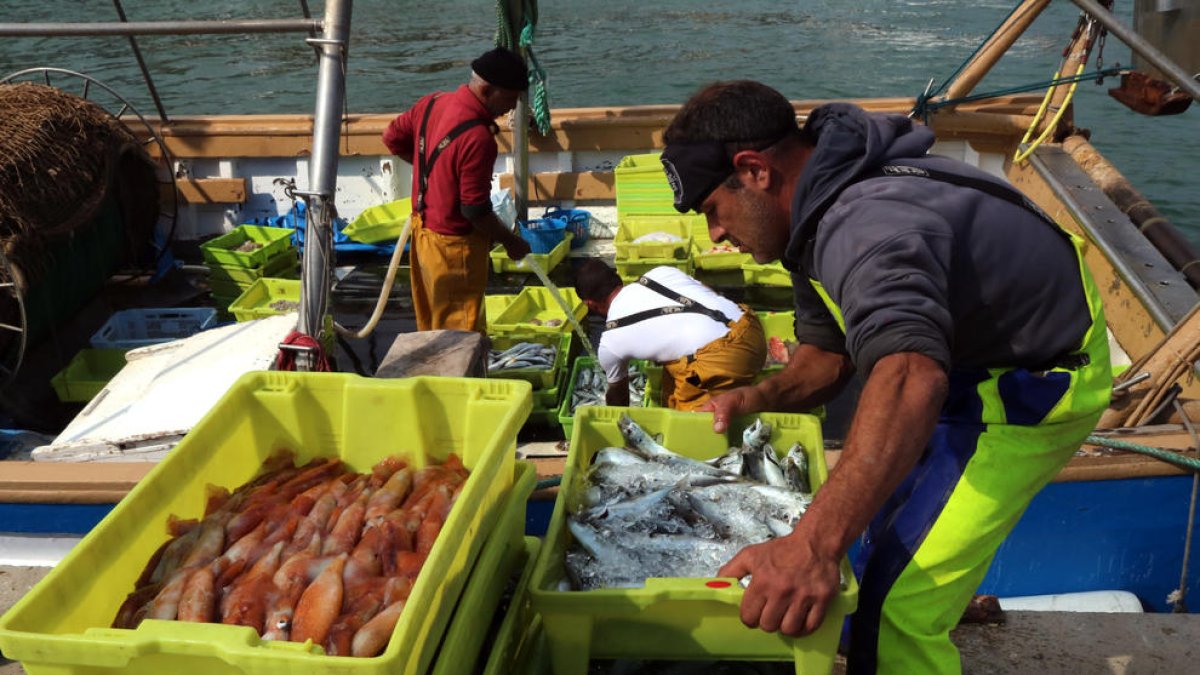 Un mariner descarregant caixes de peix al Serrallo de Tarragona.