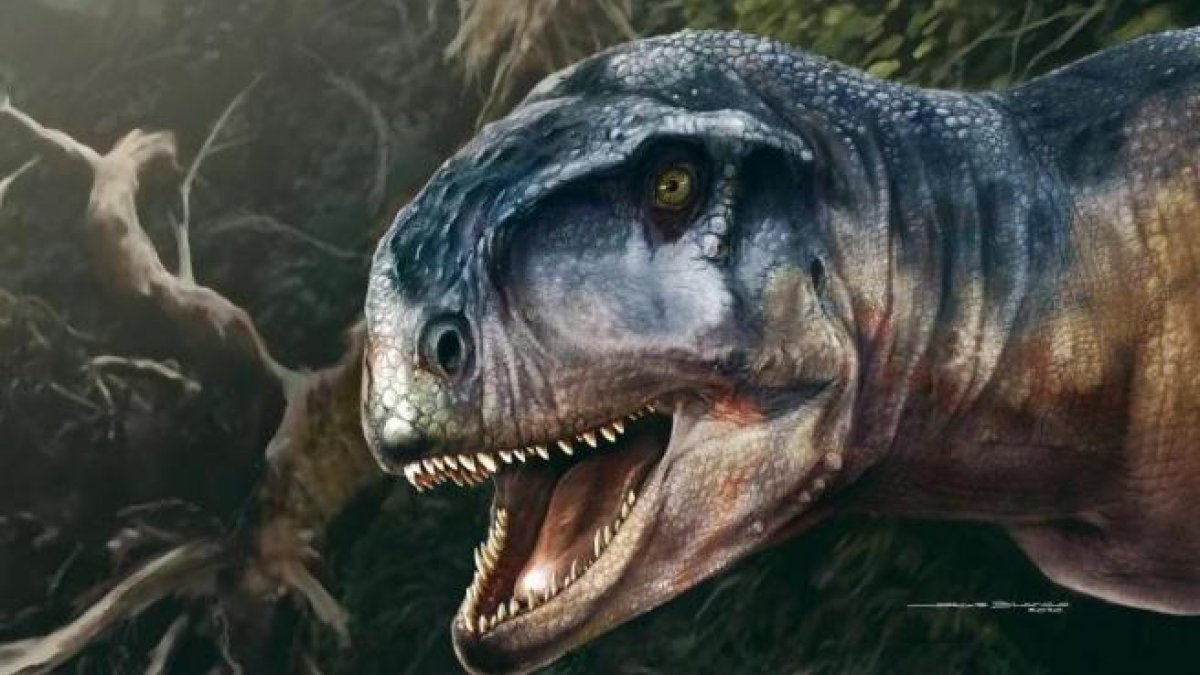 Una recreació artística del dinosauri 'Llukalkan aliocranianus'.