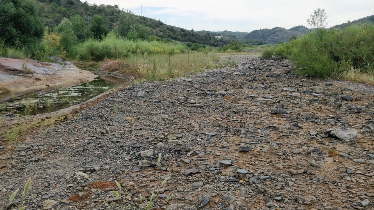 Plano general de un tramo del río Siurana, a su paso por el Masroig.