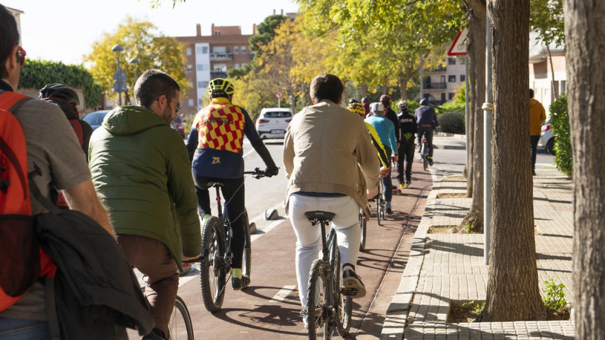 Una imatge del carril bici.