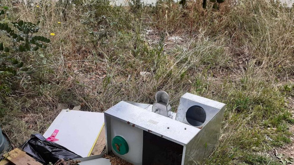 Imagen de una de los varios destrozos que las colonias de gatos ferales han sufrido los últimos meses.