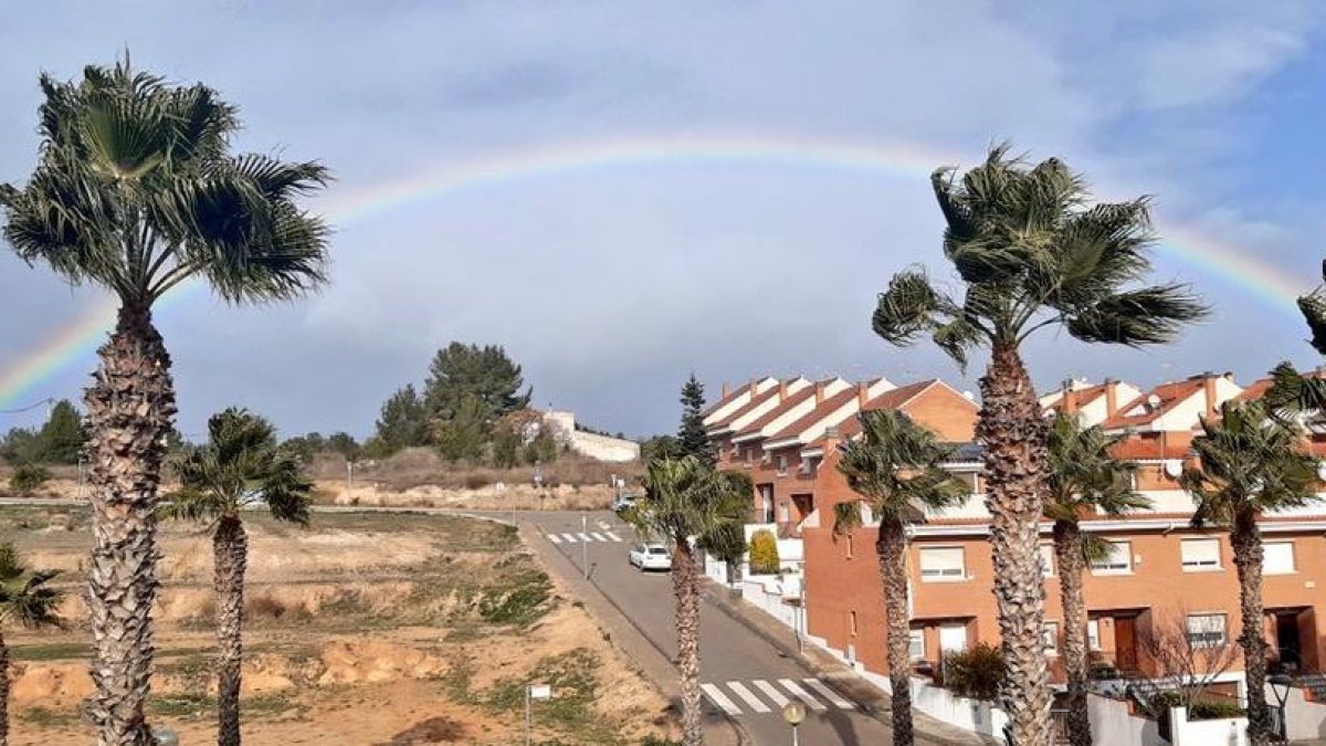 El viento ante unas palmeras en Valls