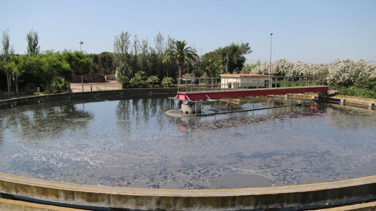 Pla general d'una de les piscines de les instal·lacions d'Aigües de Reus.