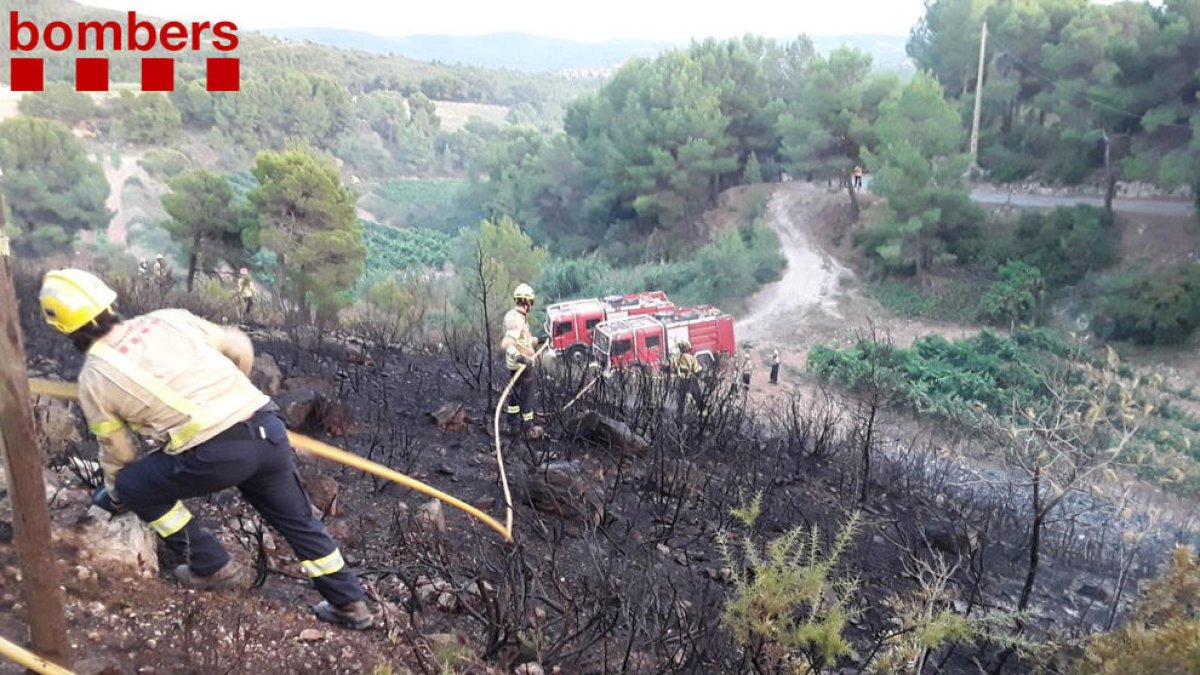 El flanco izquierda del fuego se ha podido detener antes de que pudiera afectar a una zona de viñas.