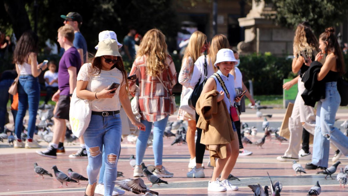 Unes turistes passegen entre coloms a la plaça de Catalunya de Barcelona.