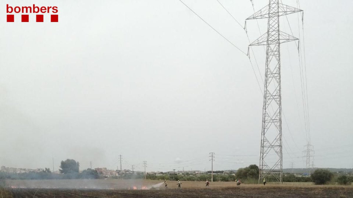 Treballen per extingir un incendi de vegetació agrícola a Constantí