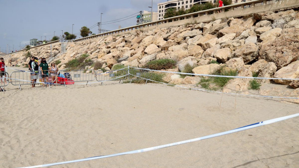 Plan general del espacio delimitado de la playa del Miracle de Tarragona en el cual hay una posta de huevos de tortuga alelada.