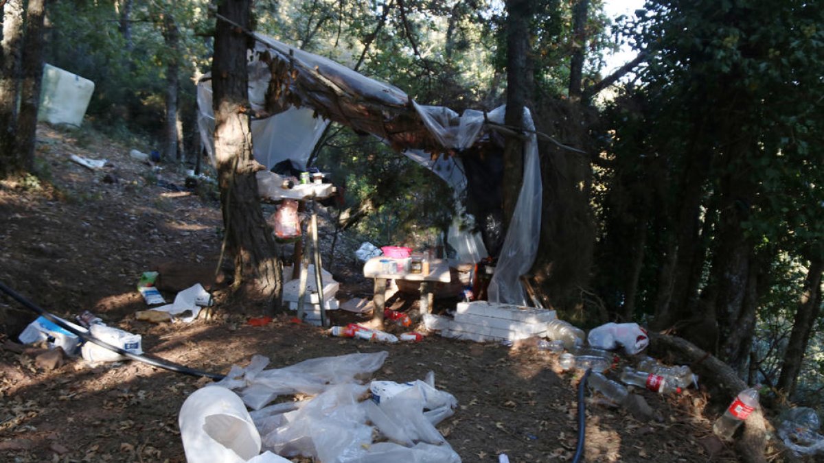 Les restes del campament fet al Tossal de la Baltasana a Prades, on els Mossos van desmantellar una plantació de 5.500 plantes de marihuana.