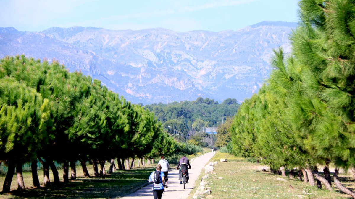 Usuaris circulant pel tram de la via verda de la Val de Zafán entre Tortosa i Roquetes.