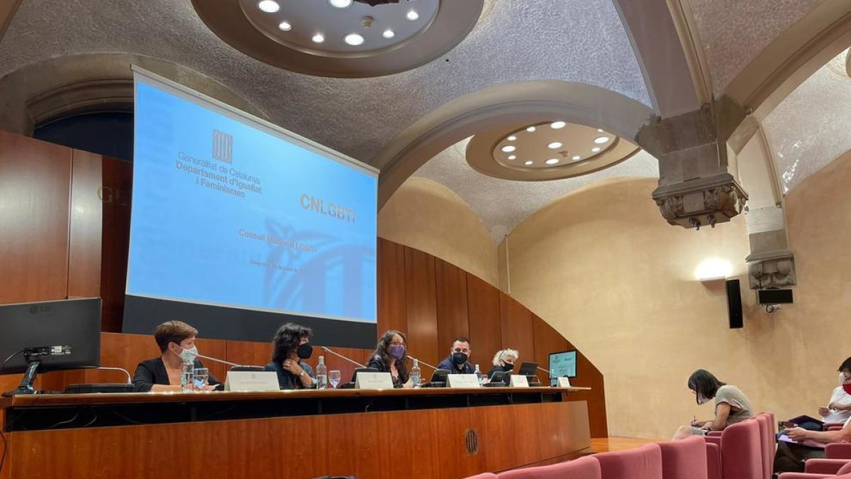 Mesa del Consejo Nacional LGTBI celebrado de manera presencial y telemática en Barcelona.