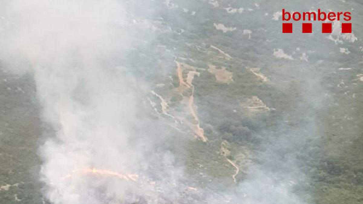 Treballen per extingir un incendi de vegetació forestal entre La Foradada i Mata-redona, a la serra del Montsià