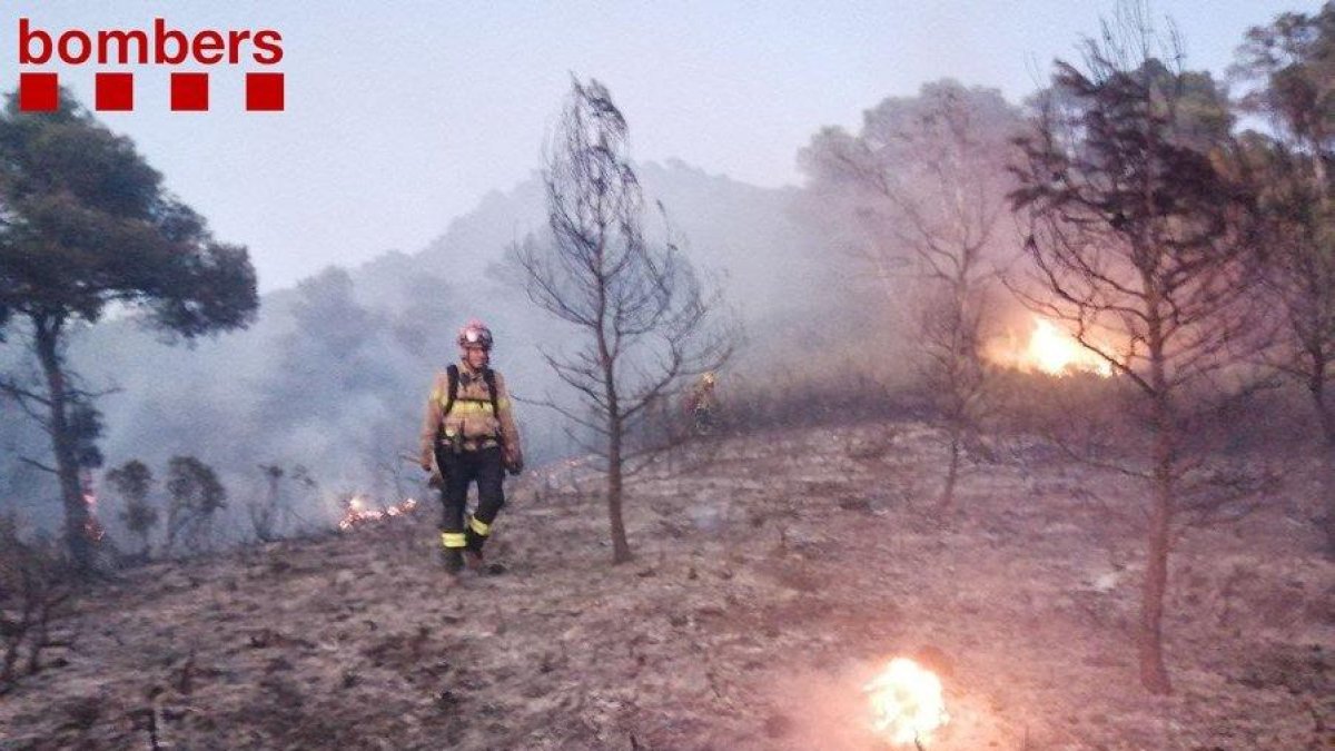 Un bomber enmig d'un paratge cremat durant un incendi en un barranc de Móra d'Ebre