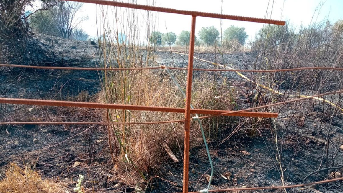 Punt on s'ha iniciat l'incendi agrícola de Vilafant, provocat pels treballs amb una serra radial.