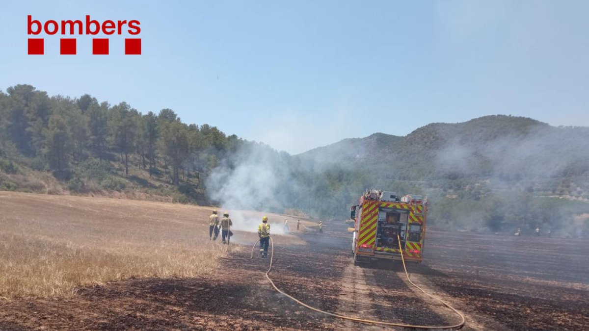 Una dotació dels Bombers remulla un dels camps calcinats en l'incendi de Sant Jaume dels Domenys.