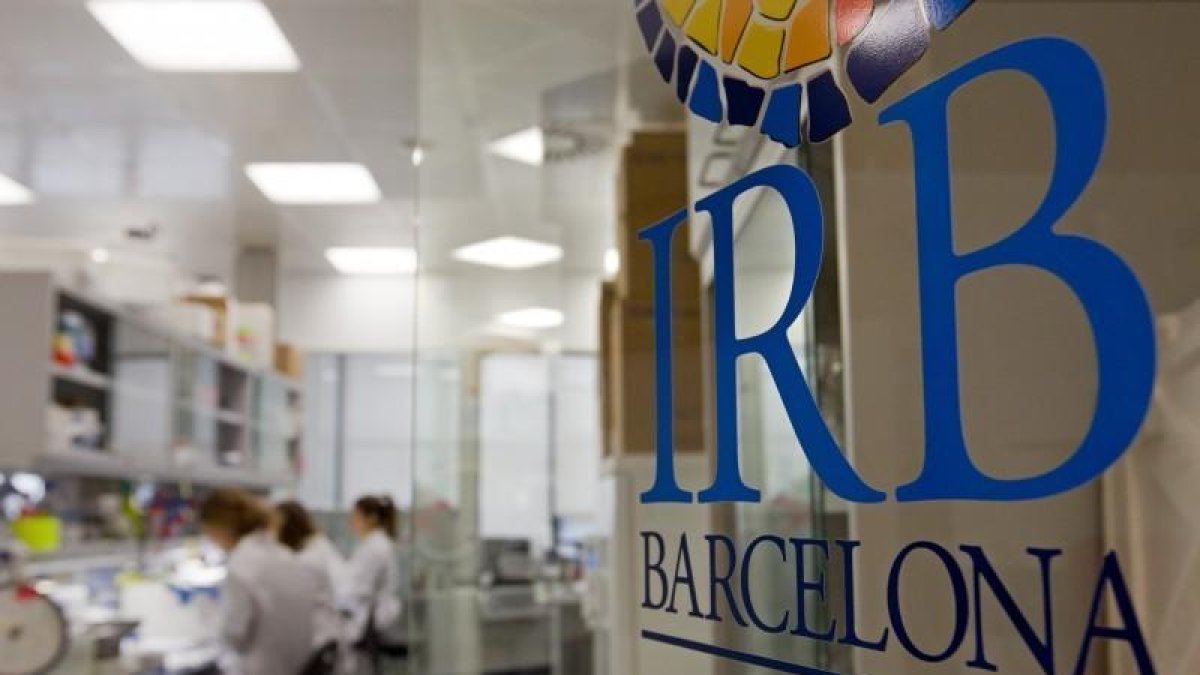 Imagen de archivo de un laboratorio del IRB de Barcelona.