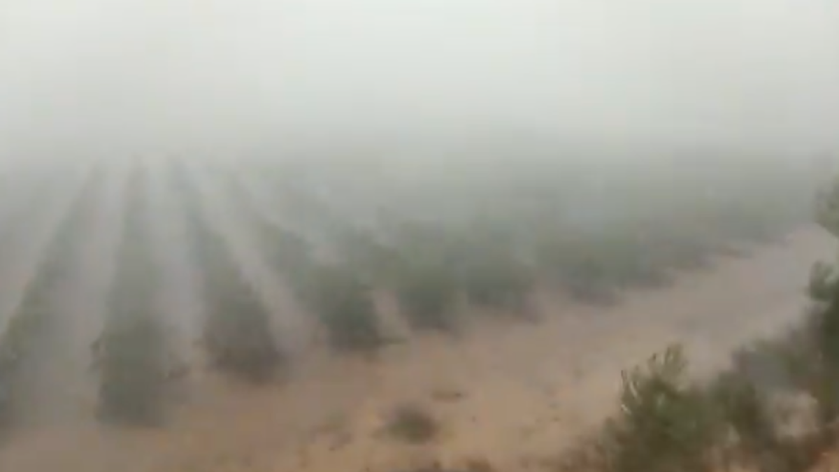 Captura del vídeo de la tempesta, que afecta a una zona de vinyes.