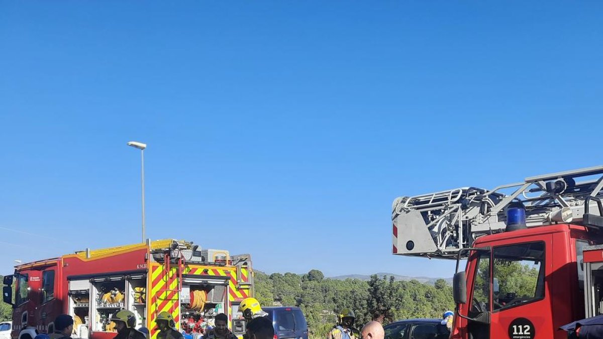 Els serveis d'emergencia proporcionant oxigen i fent maniobres de reanimació al gos.