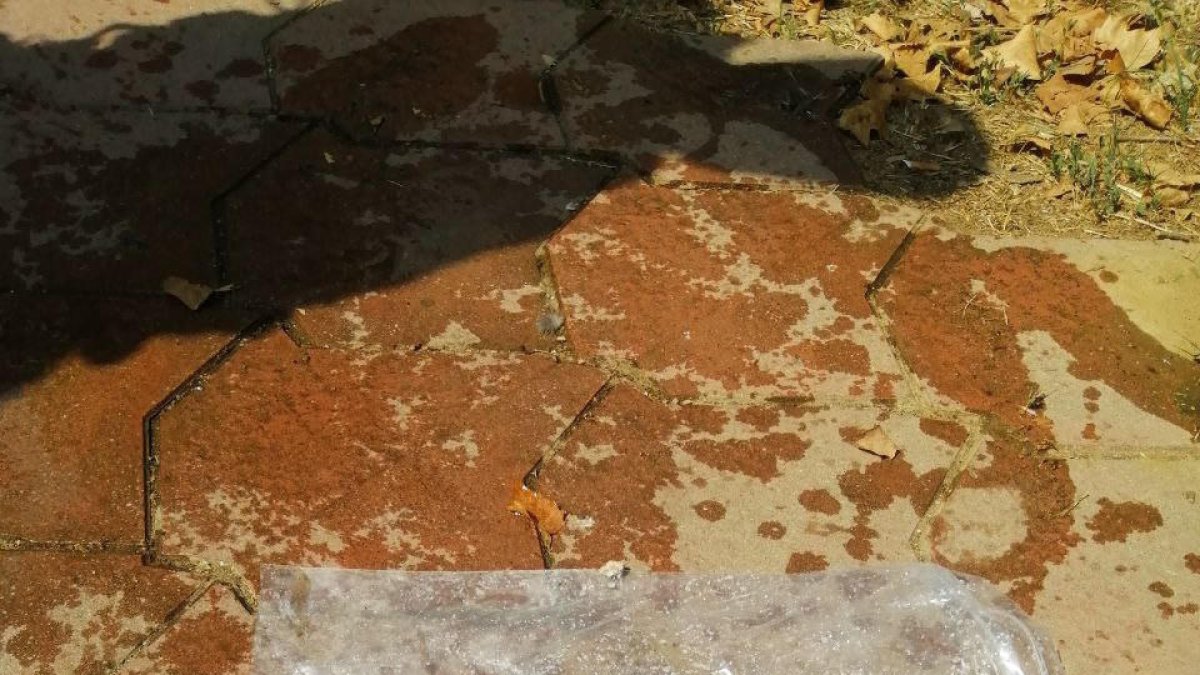 Alertan del avistamiento de una mano flotando en el Puente de la Barca y finalmente encuentran que era de plástico