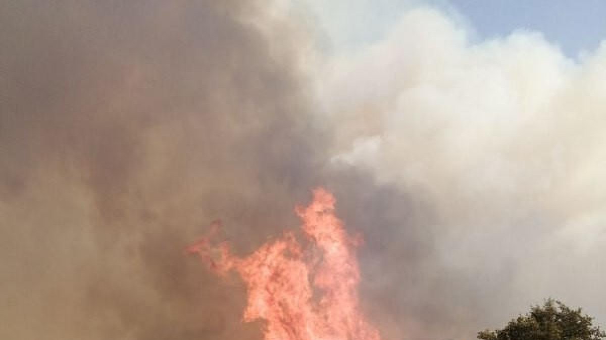 El cap de l'incendi de Santa Coloma de Queralt ha saltat la carretera B-220 i ha agafat massa forestal.