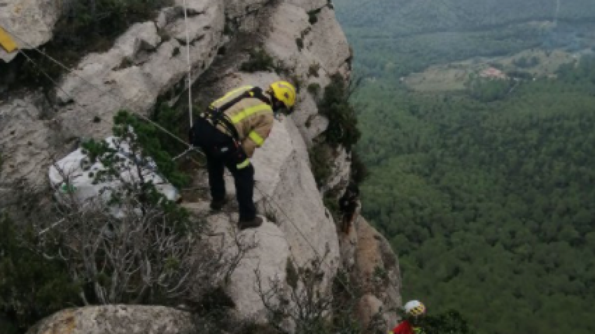 Els Bombers duent a terme les tasques de rescat.