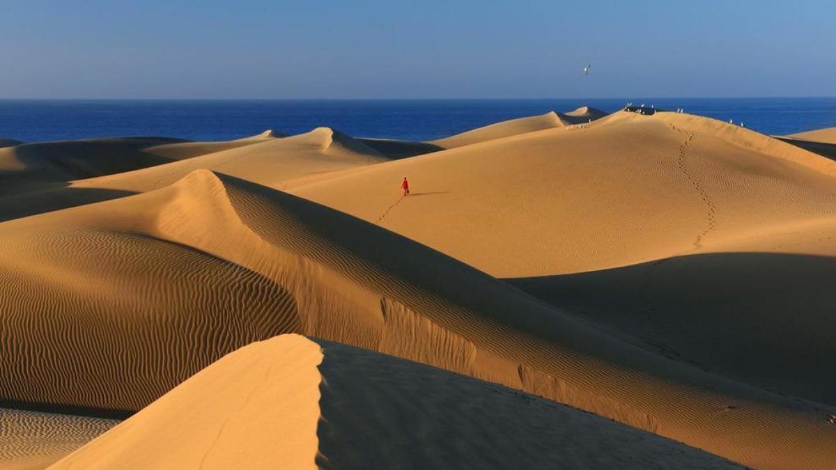 Las dunas de Maspalomas, en el sur de Gran Canaria, son uno de los principales atractivos de la isla.