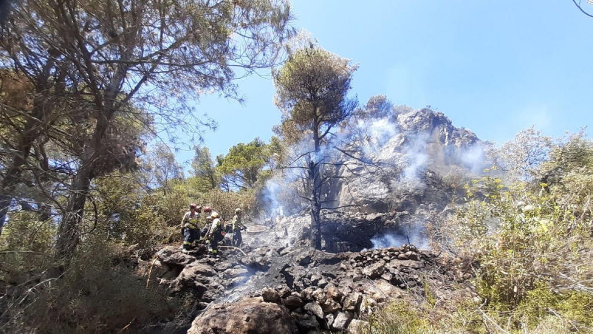 Controlado un incendio de vegetación forestal próximo al coll de la Creu en el Arbolí