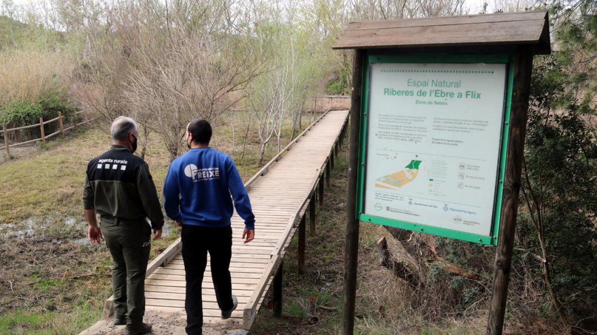 Plano general del jefe de los Agentes Rurales en el Ebre, Miquel Àngel Garcia, y el biólogo del Grup Natura Freixe, Arnau Pou, entrando en la Reserva Natural de Sebes en Flix.