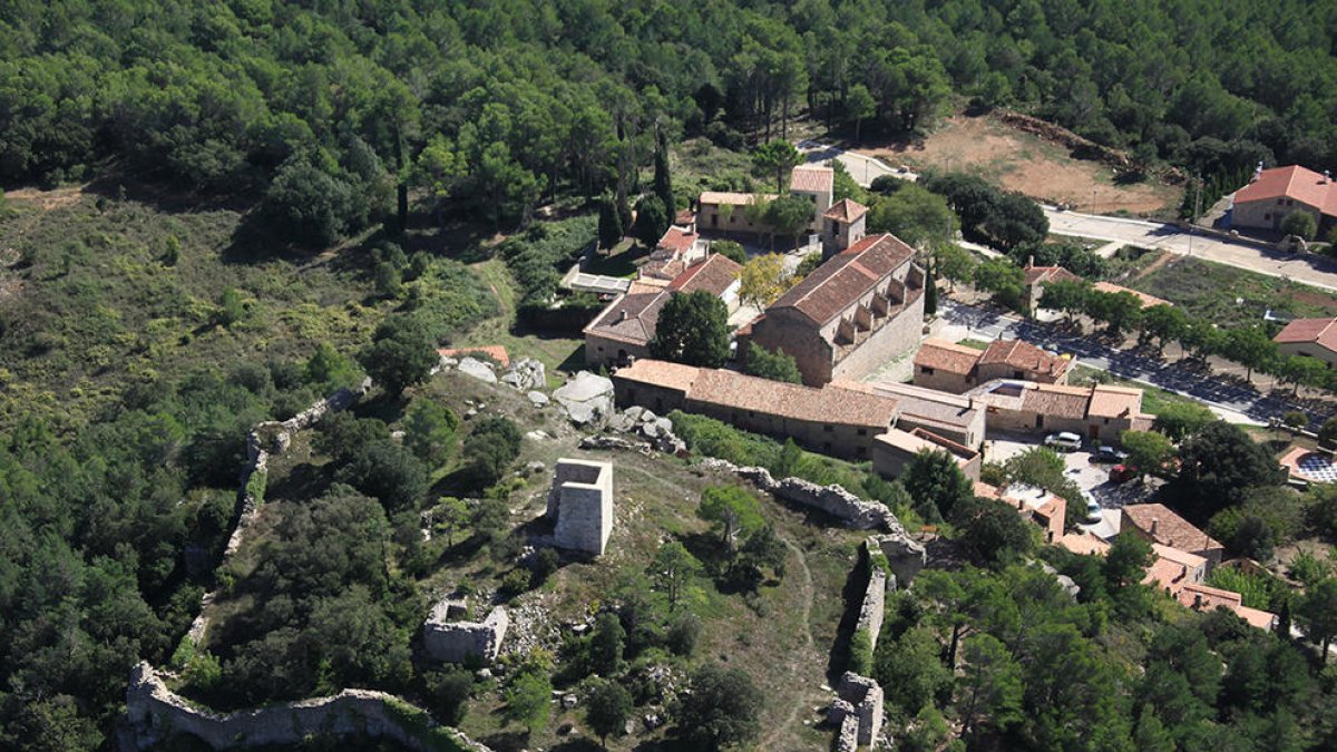 Imatge de les restes del Castell de l'Albiol.