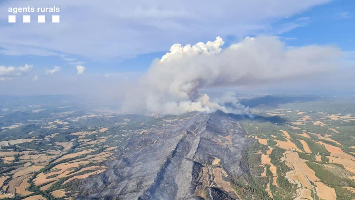 Pla general aéreo de superficie calcinada por el incendio iniciado en Santa Coloma de Queralt.