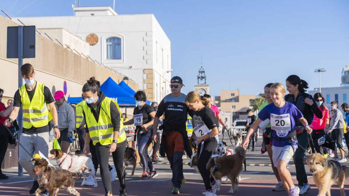 Los perros llenan el paseo de l'Escullera de Tarragona en el IV Canicross Solidario