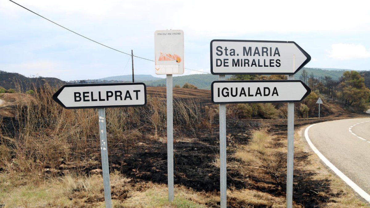 Tramo de carretera con los arcenes|riberas quemados.