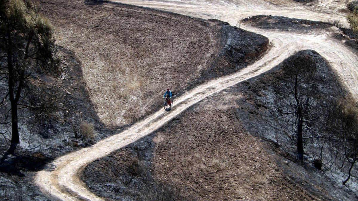 Un ciclista subiendo por el camino de acceso al castillo de Queralt.