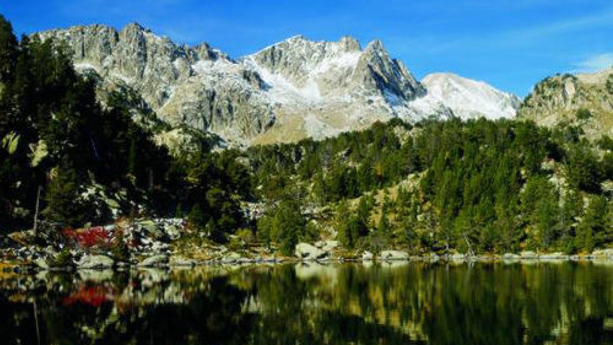 Si augmenta la temperatura la humitat natural als Pirineus no podrà impedir els incendis.