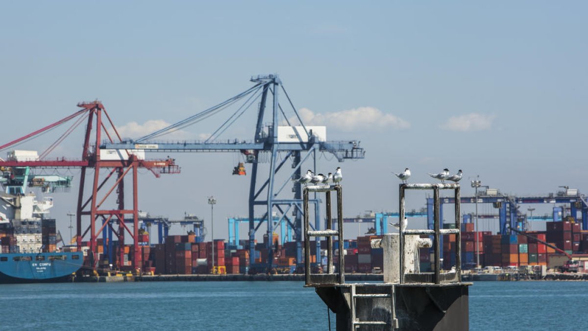 Una imatge del Port de València.