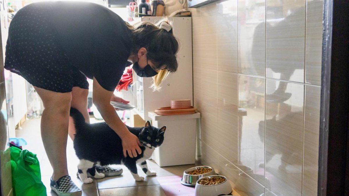 Imagen de Lucia González, cuidadora de gatos en la ciudad de Granada.