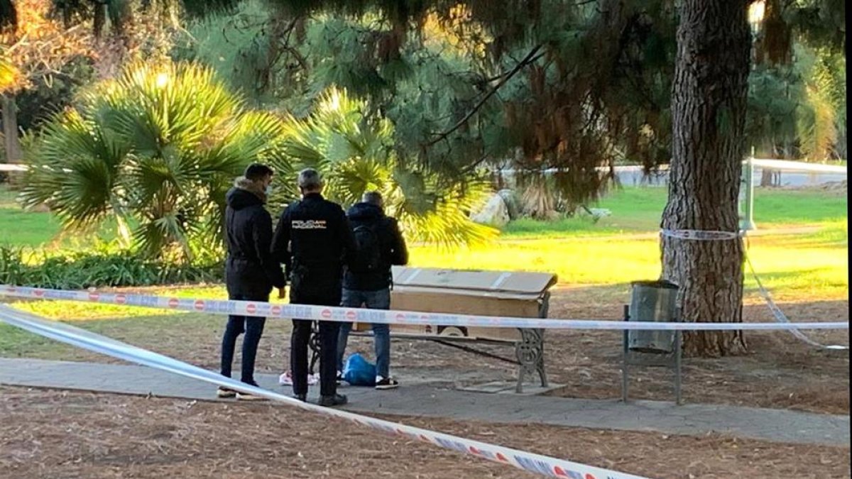 Agentes de la Policía observan la zona de los Jardines Picasso donde se ha hallado al indigente.