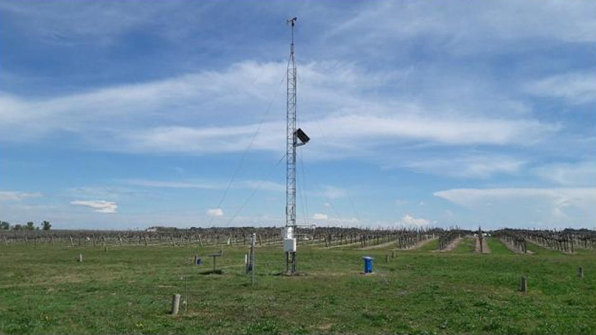 Una imatge de l'estació meteorològica automàtica de Raimat.