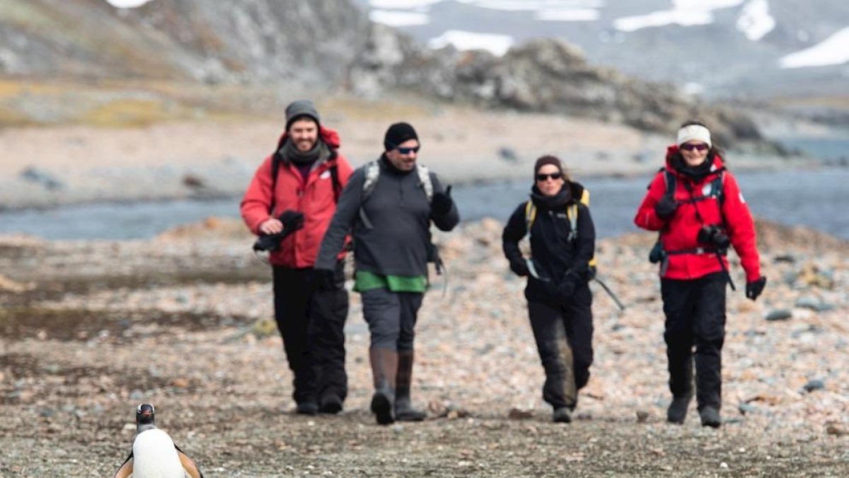 Investigadors andan|caminan por una playa cerca de la Base Profesor Julio Escudero a la isla Rey Jorge.