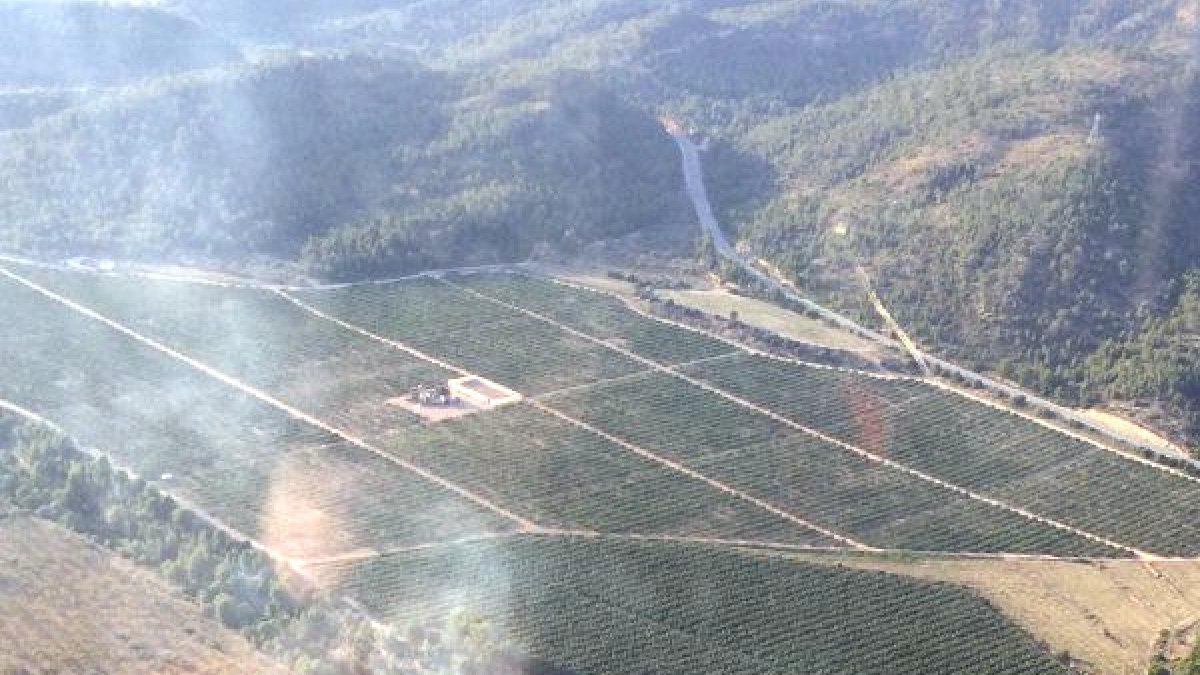 Una de las columnas de humo del incendio de Móra d'Ebre.