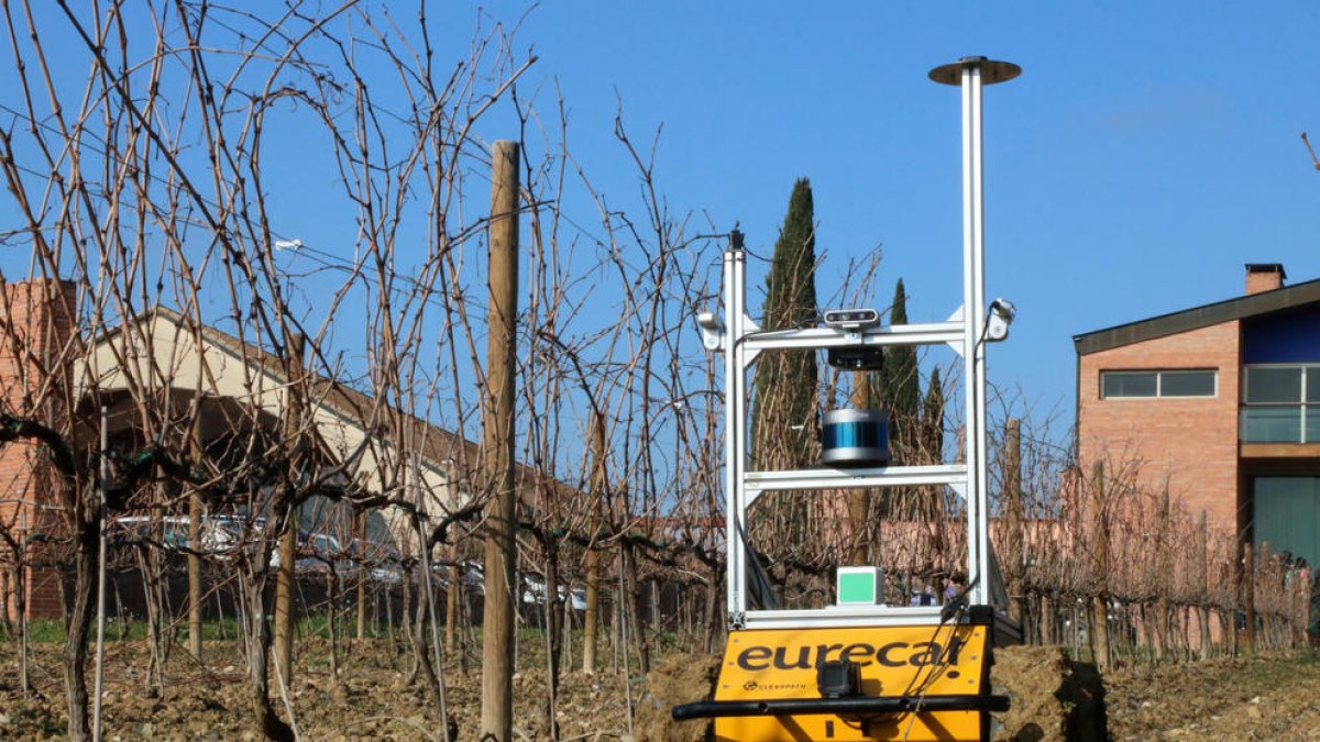 Un robot de un proyecto de Eurecat recorre el viñedo para captar datos destinados a aplicar inteligencia artificial al cultivo.