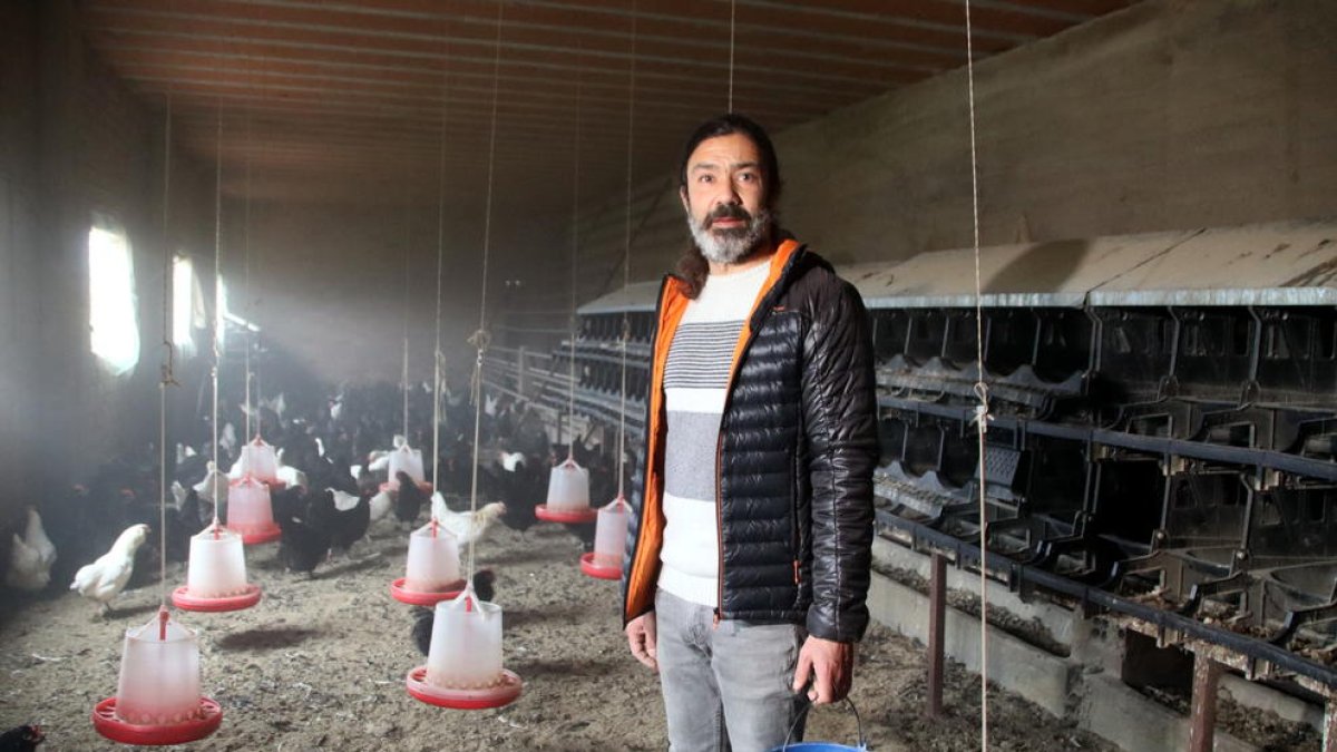 Toni Martínez a punto de dar de comer a las gallinas.